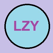 Logo with my initials 'LZY' on it